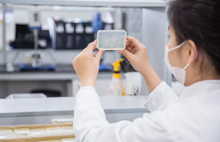 ISO 22716 Manufacturer Quality Control