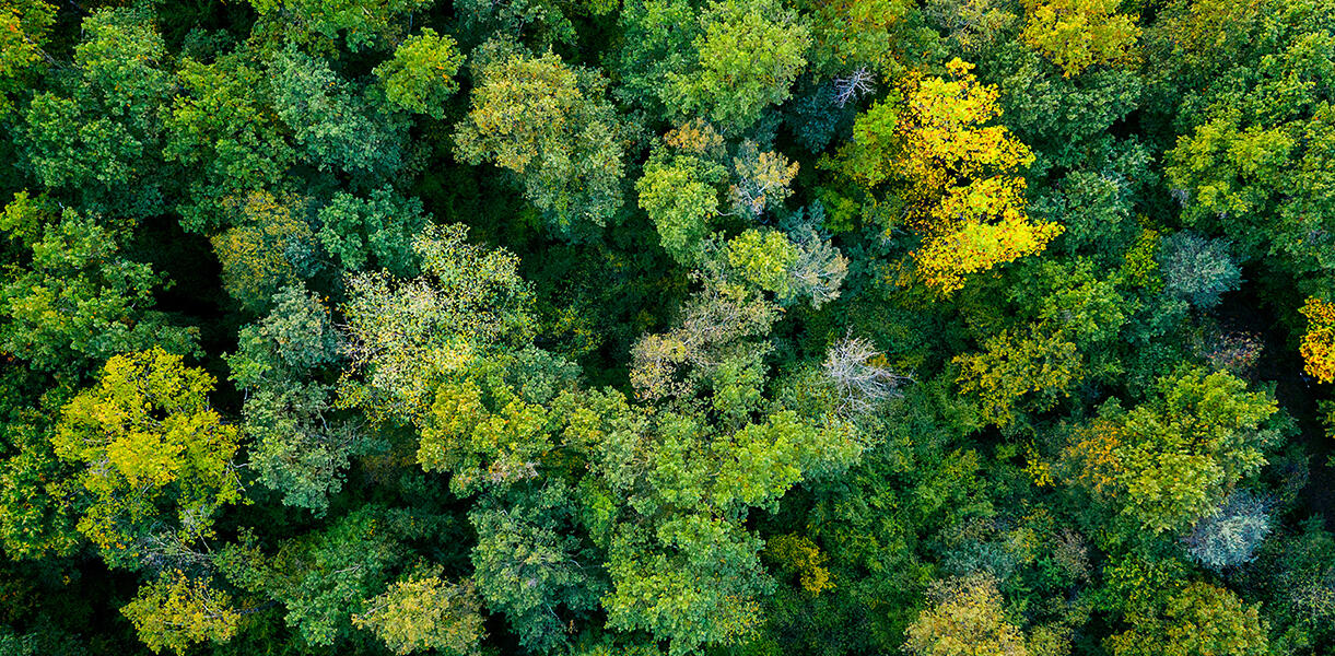 CSR Skincare Manufacturer